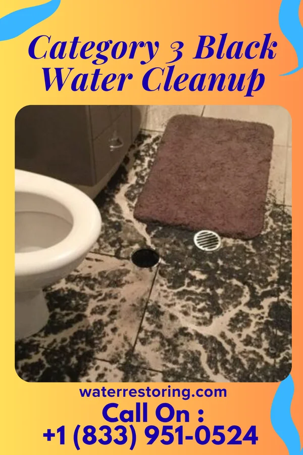 Category 3 Black Water Cleanup in Beaumont, TX