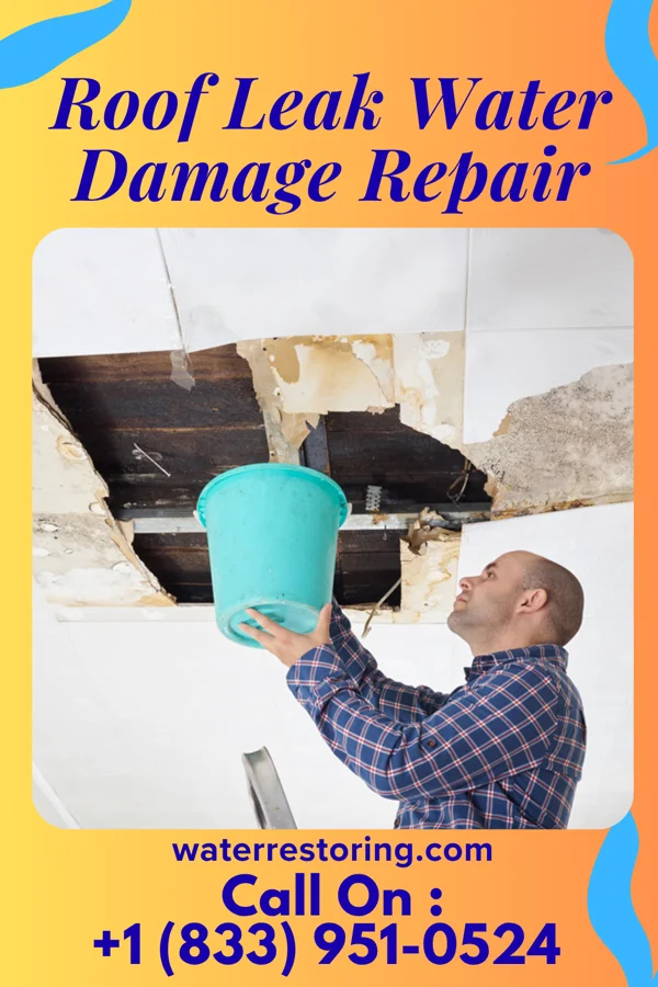 Roof Leak Water Damage Repair in Beaumont, TX
